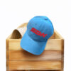 Dispatch SDN Gamer Hat