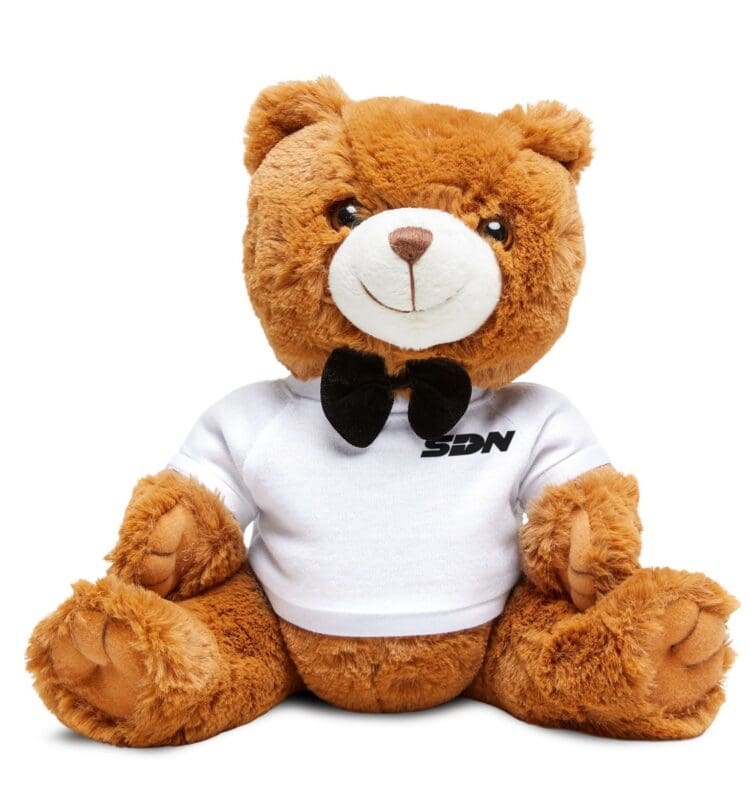 Teddy Bear with SDN Dispatch T-Shirt