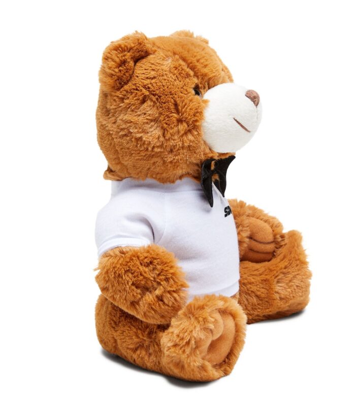 Teddy Bear with SDN Dispatch T-Shirt