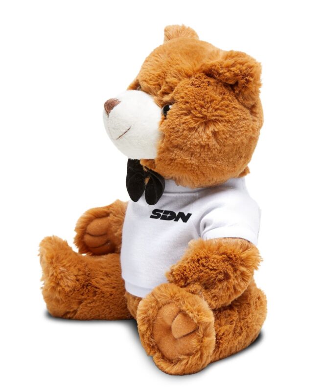 Teddy Bear with SDN Dispatch T-Shirt